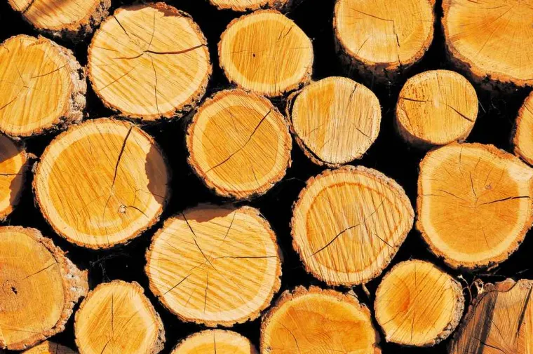 Quel est le prix d'un stère de bois coupé en 50 ?, Vonnas, MJ Multiservices